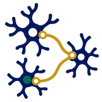 Bold neuron-inspired forms connected by gold signaling pathways, representing neural communication and nervous-system research.