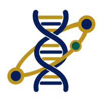 A bold DNA helix intersects with a gold continuity pathway and green regulatory node, representing cellular maintenance, resilience, and longevity research.