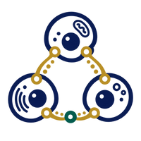 Three bold cellular forms connect through gold maintenance pathways and a green communication node, representing cellular renewal and intercellular signaling research.