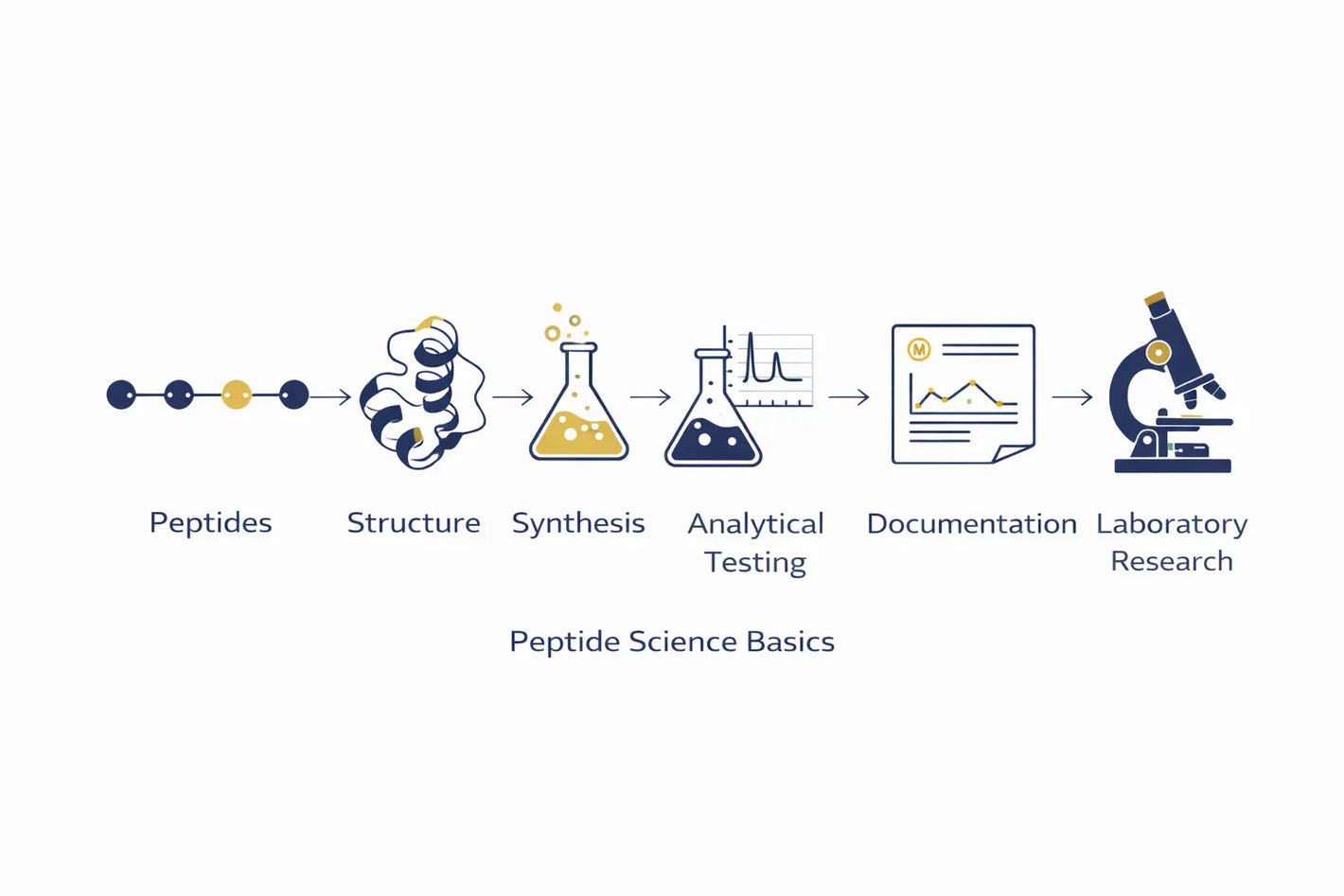 Peptide science framework diagram showing structure, synthesis, analytical testing, documentation, and laboratory research flow.